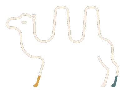 Camelus